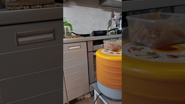 Сушилка для грибов