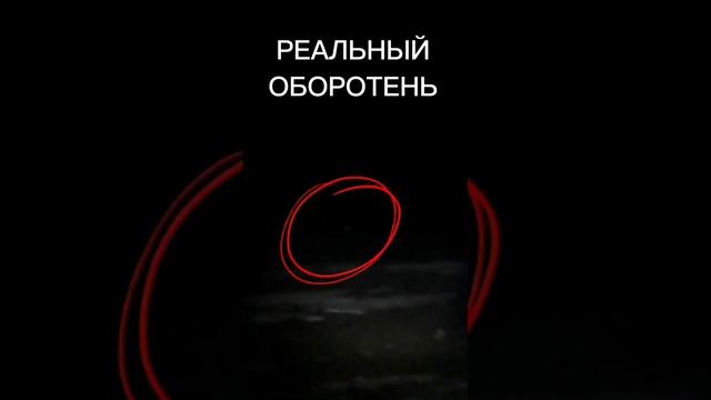 Заснял реального оборотня
