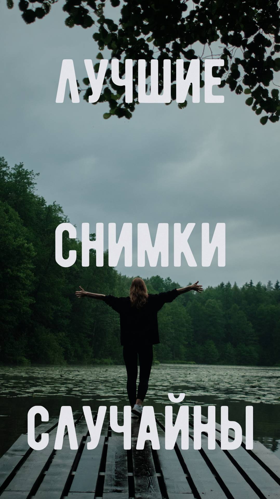 Лучшие снимки случайны