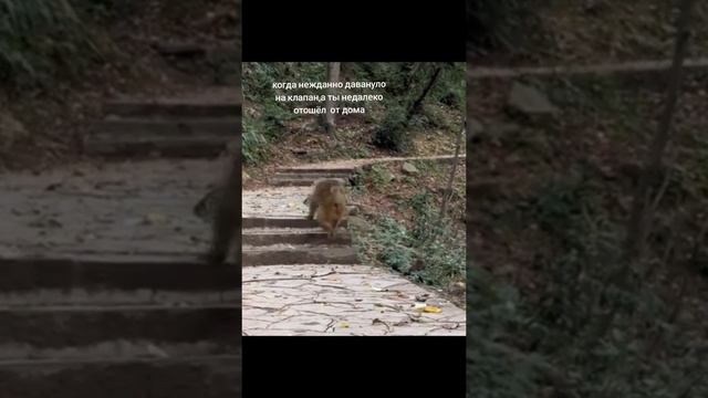 Вот это скорость🤣