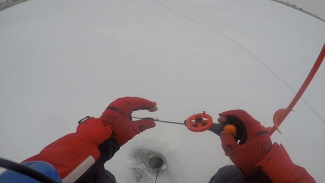 Чемпионат Курганской области ловля на блесну со льда