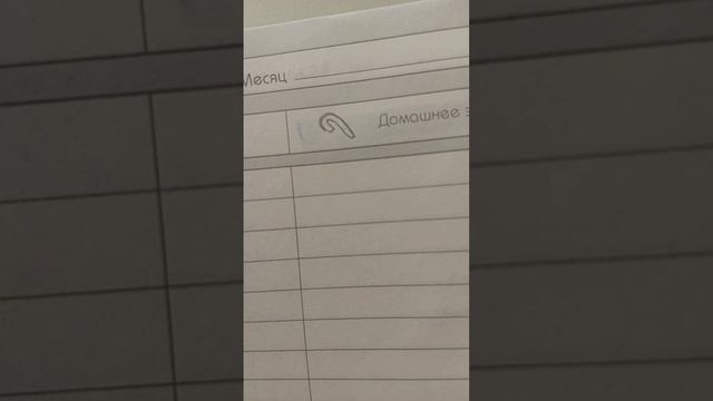 новогоднее оформление дневника❤️