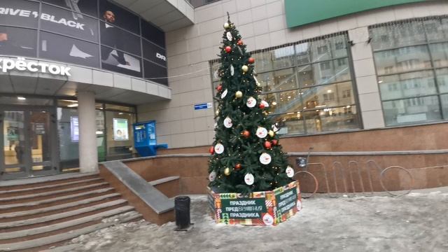 Ёлочка стоит с 1 ноября центр город 2024 декабрь