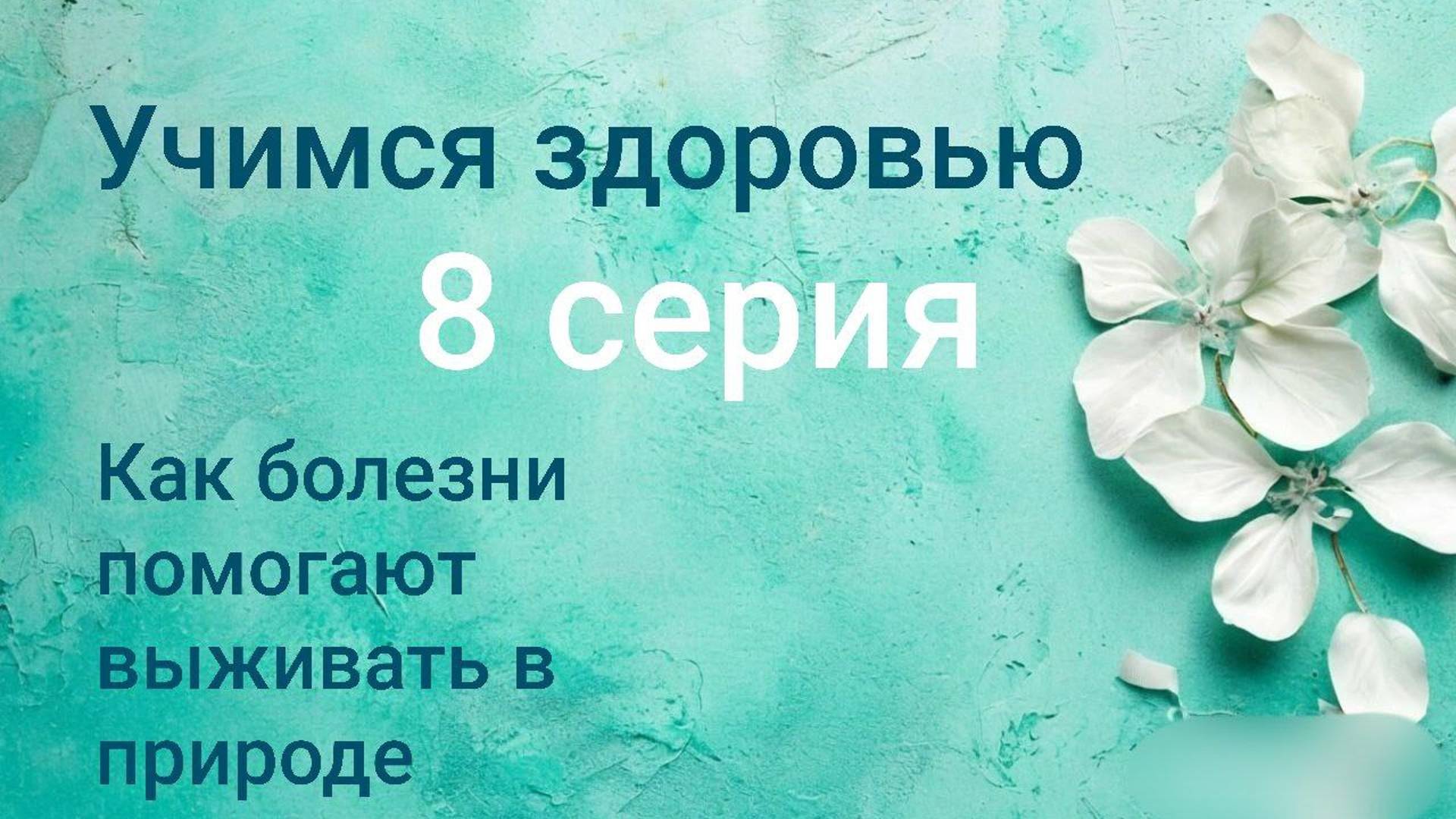 Учимся здоровью. 8 серия. Что на самом деле есть болезни