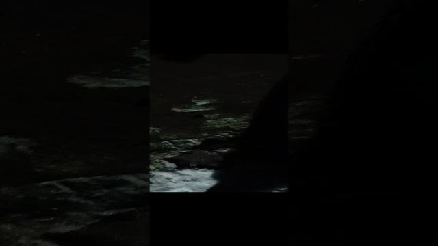 Какой красивый