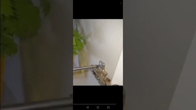 1000036764.mp4