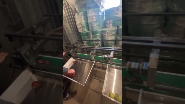 Ходовые испытания нового стола для калибровки яблок