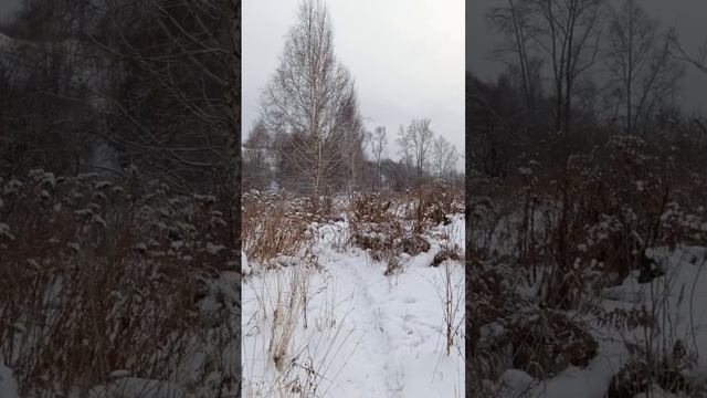 прогулка