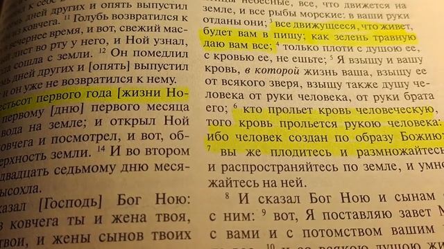Здоровое питание.Продукты из крови опасны.#рецепты #еда #кухня #кулинария #рецепы #здоровье