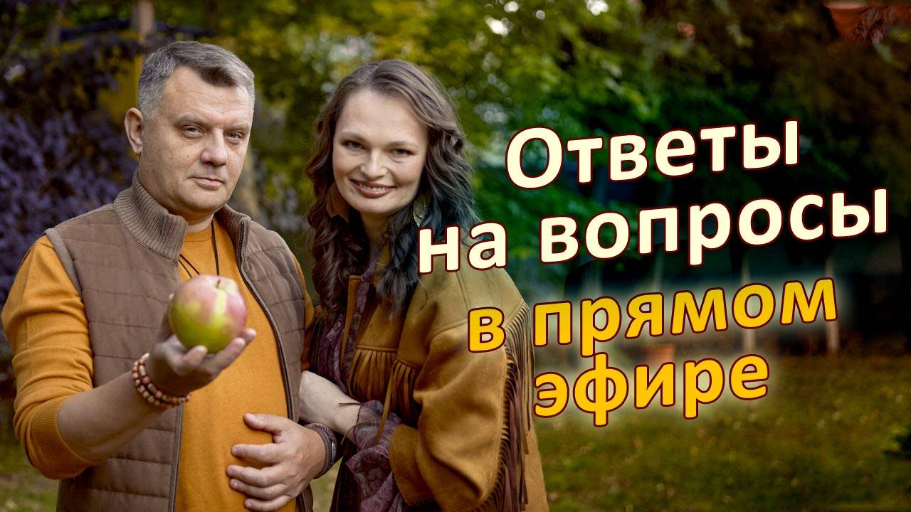 Спорим о вкусе картошки и отвечаем на вопросы зрителей