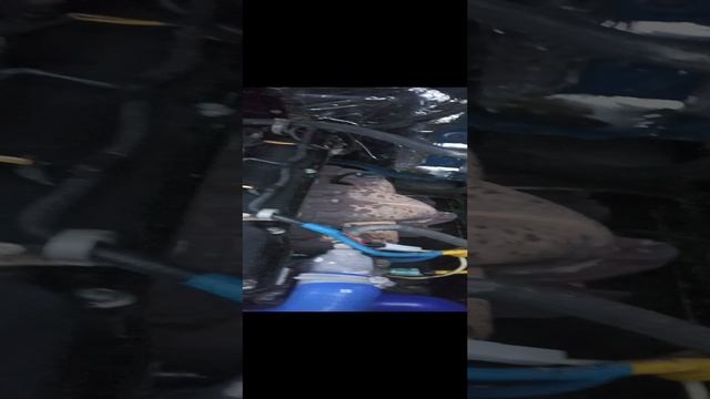 VID_20241124_161459