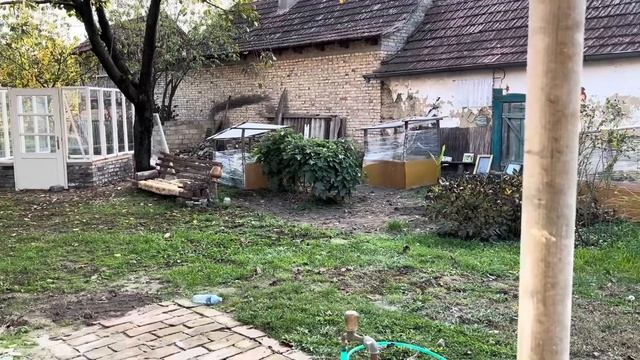 Окна закончили. Купили рыбу.#синдикилайф #ремонтдома #жизньзаграницей