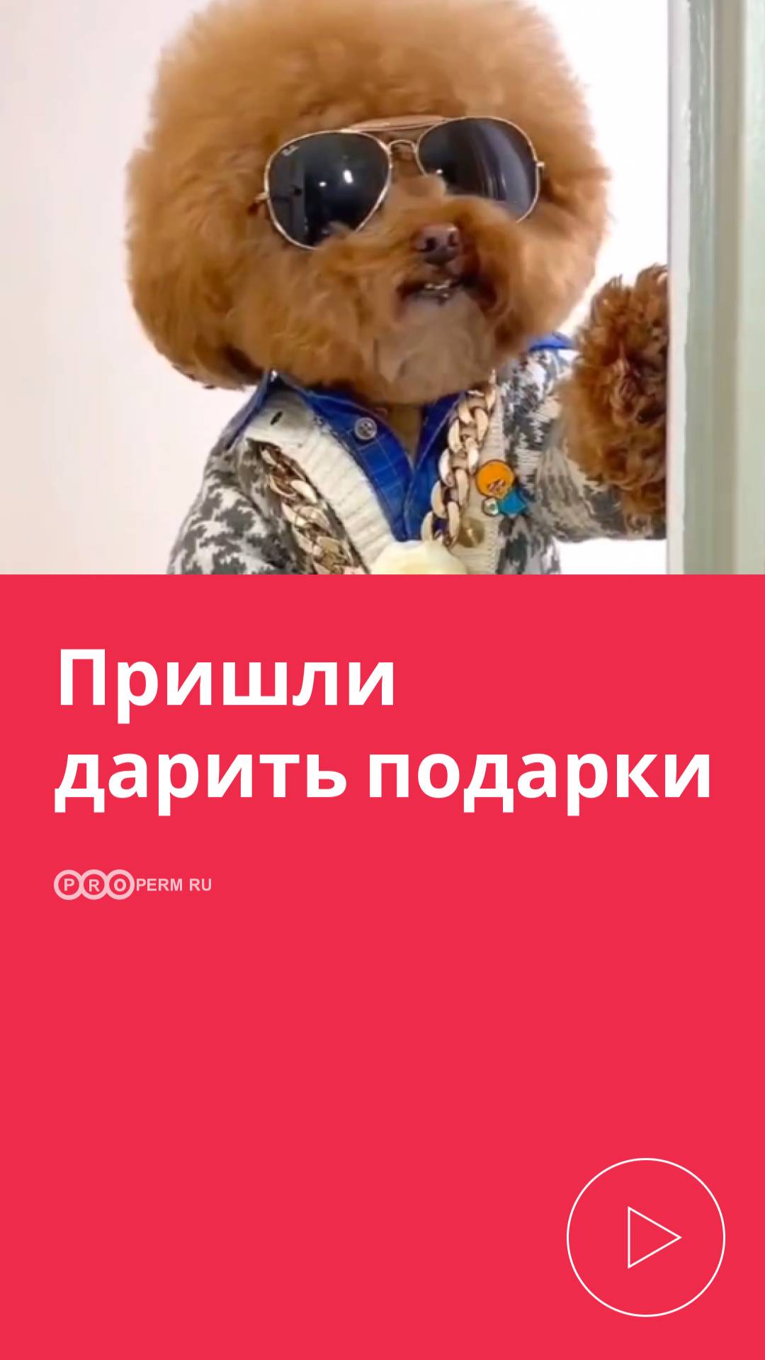 ДАРИМ СЕРТИФИКАТ НА 10 000 РУБЛЕЙ НА OZON