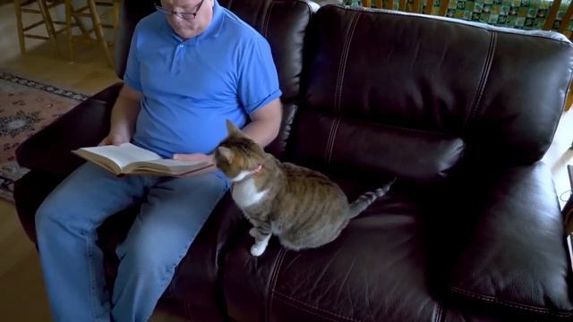 Бездомный мальчик решил проследовать за котом. То, что произошло дальше, Невероятно!