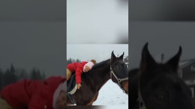 Поздравим с днём рождения участника нашей Цирковой Банды Трошину Варвару🎉