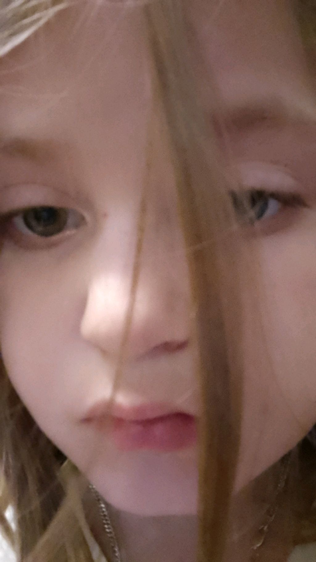 л