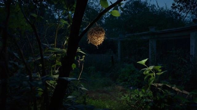 Agatha Christies Wasps Nest  Hercule Poirot Uncovers a Sinister Plan Audiostory