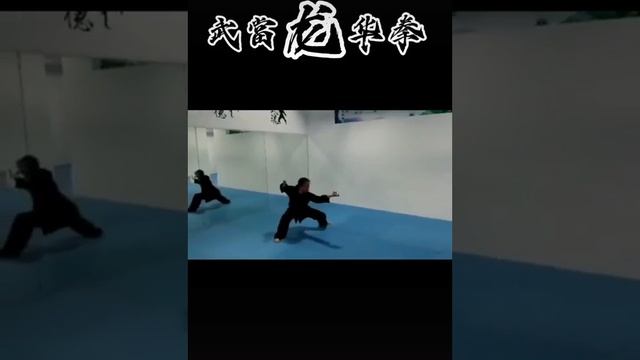 Удан Лун Хуа Цюань («Уданский кулак молодого дракона») | Wudang Long Hua Quan | 武當龍華拳