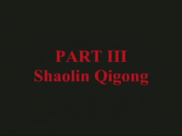 Shaolin Hard Qigong (2)