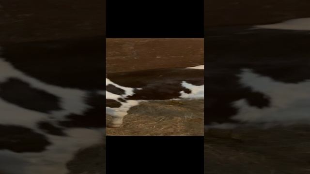 03-12-2024