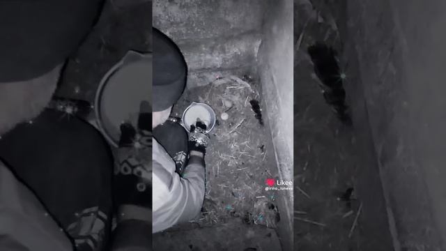 Сельская Жизнь.