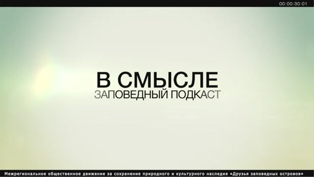 ПОДКАСТ В СМЫСЛЕ ВЫПУСК 2 (смыслы)