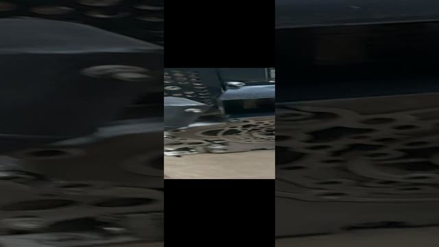 20241129_065729.mp4