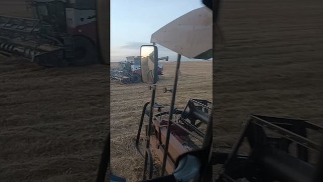 1000003372.mp4