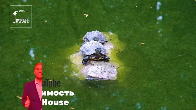 Новый формат жизни в Ялте: приватный клубный дом у моря  'Массандра Парк' 🌳 Купить квартиру в Крыму