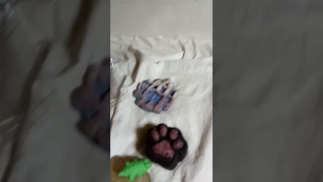 Купаем Таба сквиши