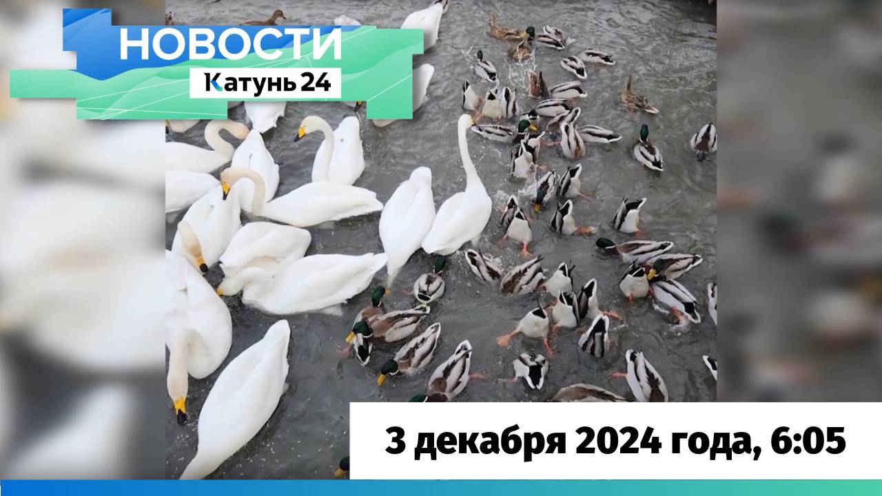 Новости Алтайского края 3 декабря 2024 года, выпуск в 6:05