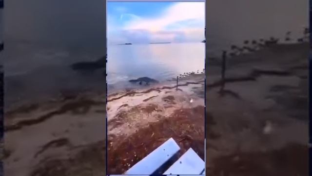 Когда решил порыбачить 😂
