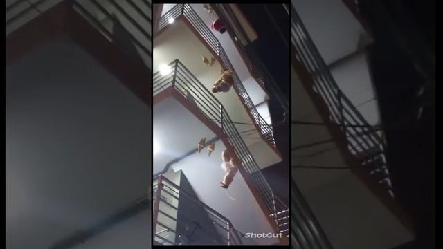 Рождество