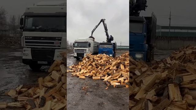 Деревяшка_Руза_Погрузка