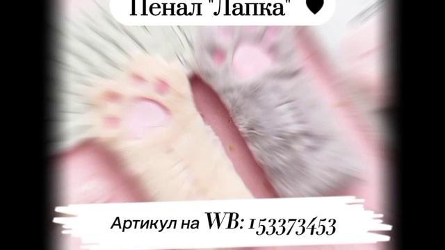 Кото-вещи на ВБ!🐈🐾
