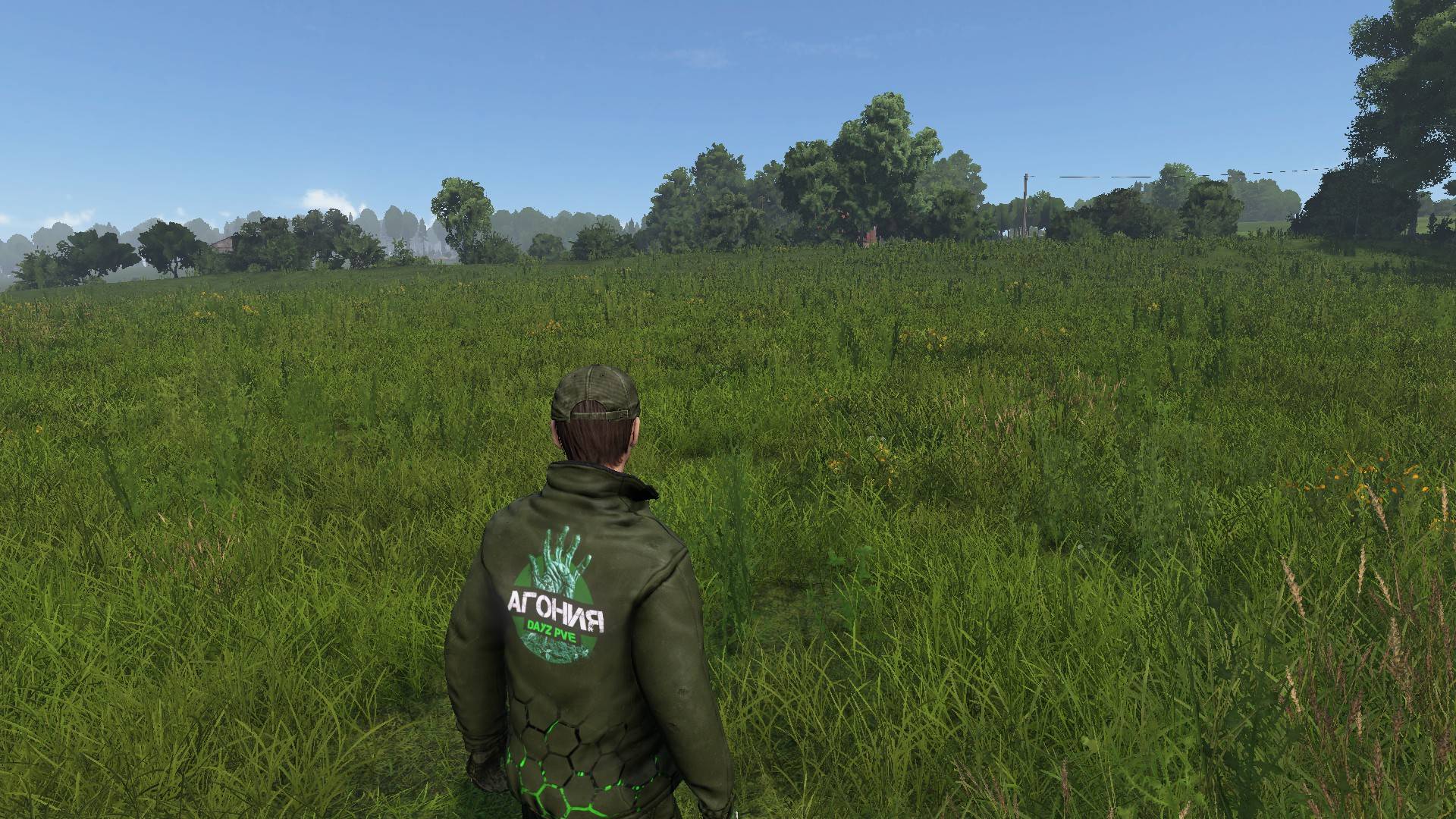Dayz Выживаю в Livonia