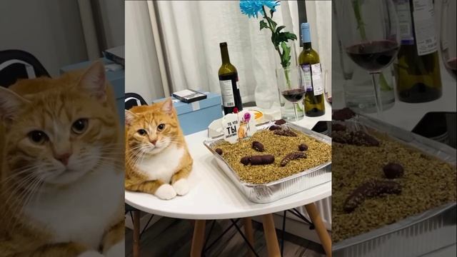 приятно аппетита 🙀😸