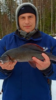 сиг на мормышку