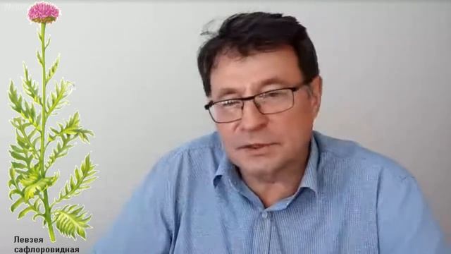 Мужская программа здоровья - материалы вебинара профессора д-ра мед. наук Верещагина Е.И.