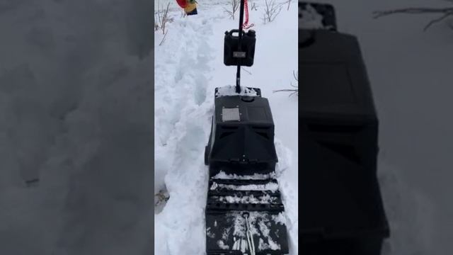 Поход в бухту Спасения вдвоём на мотосноуборде Snike! Видео-отзыв владельца мотосноуборда!