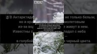 Интересные факты о зиме❄