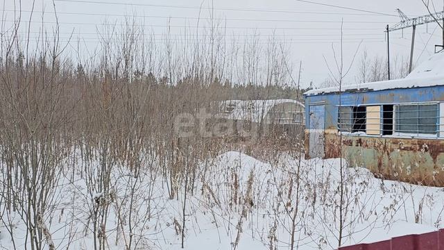 3986792 Здоровье