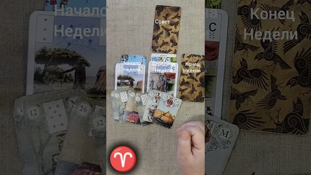 ОВЕН Таро-прогноз на 9 по 15 декабря