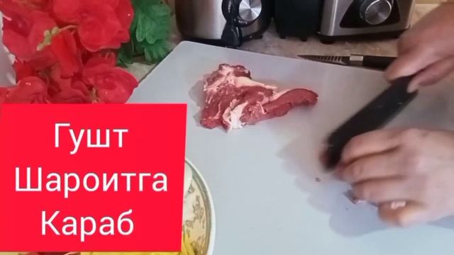 Барча масалликлардан Ракушка макрон Палов