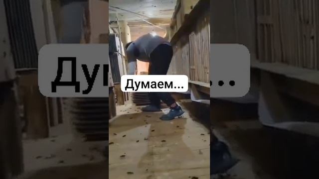 Обычный рабочий день сотрудника фермы по разведению тараканов