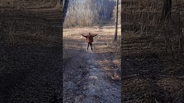 Шагает солнце 🌞
Лесная осенняя 🍂 танцевальная 🎭 минутка 🌳
