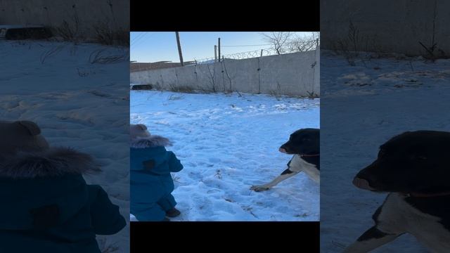 Сын и Маша