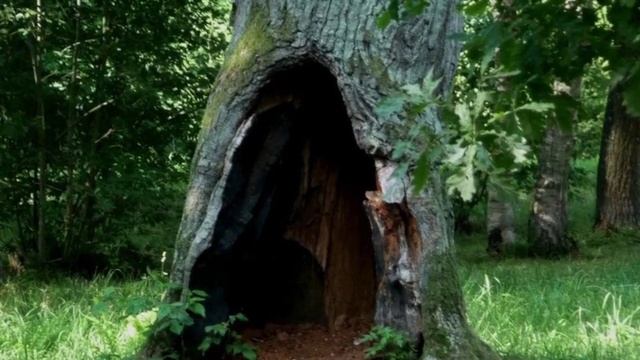 Последствия не можешь предсказать. Видео - спектакль погружение, расслабление.
