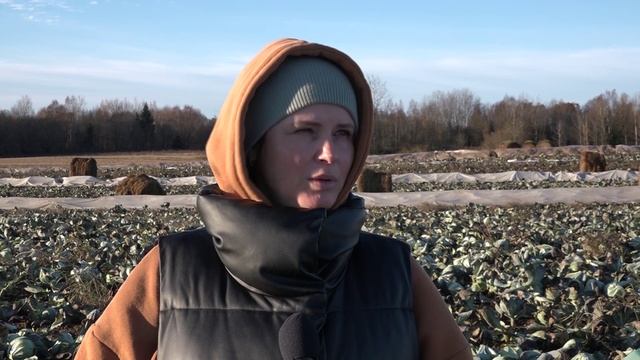 АВИЛОВ КАПУСТА 05.11.2024