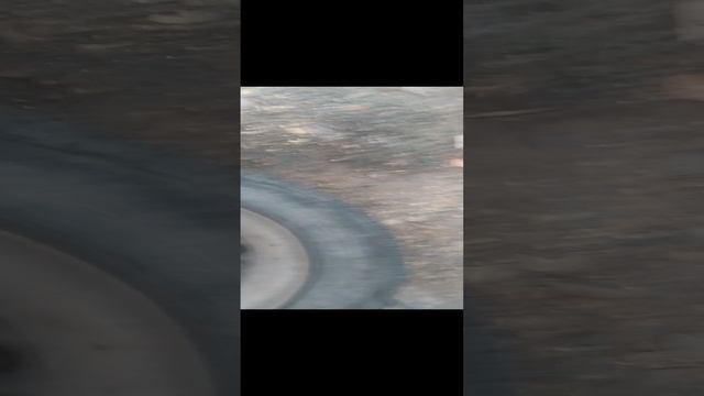 VID_20241203_160557.mp4